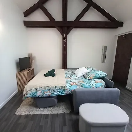 Apartamento Le Nid De L'artiste - Cathedral Center Reims